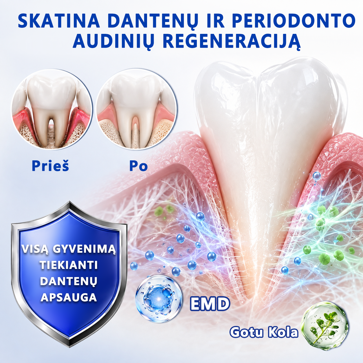 𝐄𝐯𝐨𝐥𝐯𝐢𝐨𝐧® 𝐆𝐮𝐦𝐑𝐞𝐯𝐢𝐯𝐞 𝐏𝐞𝐫𝐢𝐨𝐝𝐨𝐧𝐭𝐨 𝐫𝐞𝐠𝐞𝐧𝐞𝐫𝐚𝐜𝐢𝐣𝐨𝐬 𝐠𝐞𝐥𝐢𝐬⚡