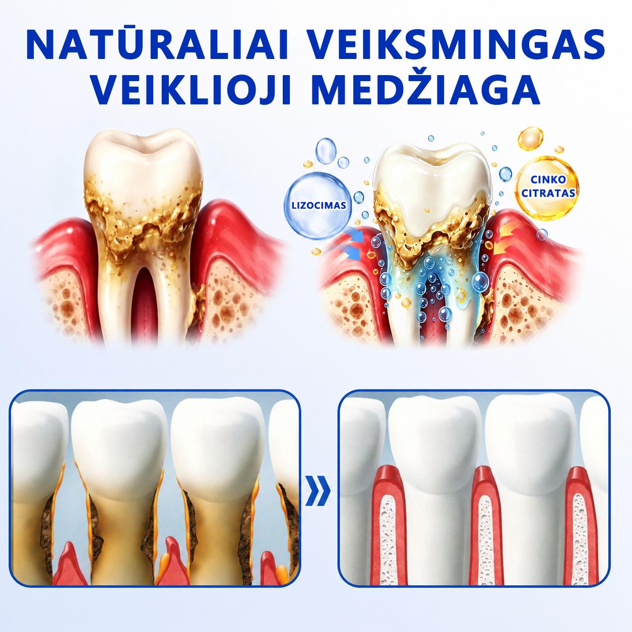 𝐄𝐯𝐨𝐥𝐯𝐢𝐨𝐧® 𝐆𝐮𝐦𝐑𝐞𝐯𝐢𝐯𝐞 𝐏𝐞𝐫𝐢𝐨𝐝𝐨𝐧𝐭𝐨 𝐫𝐞𝐠𝐞𝐧𝐞𝐫𝐚𝐜𝐢𝐣𝐨𝐬 𝐠𝐞𝐥𝐢𝐬⚡